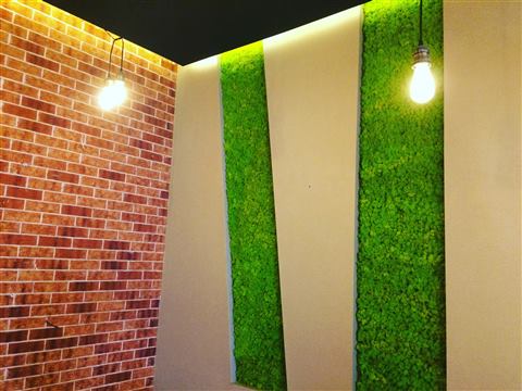 Perete de licheni stabilizați – GJC Sun Plaza, foto 14 din 19